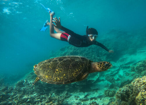 Abu Dabbab Turtle Beach group