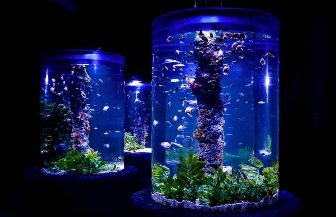 Grand Aquarium d'Hurghada