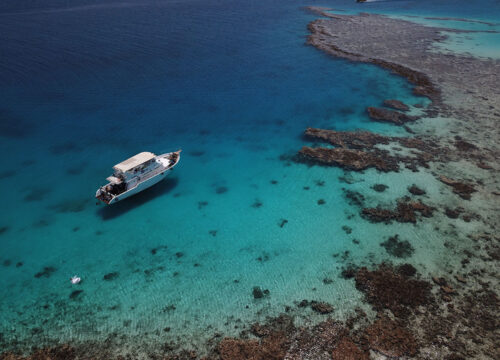 Luxury cruise to Orange bay with Lunch