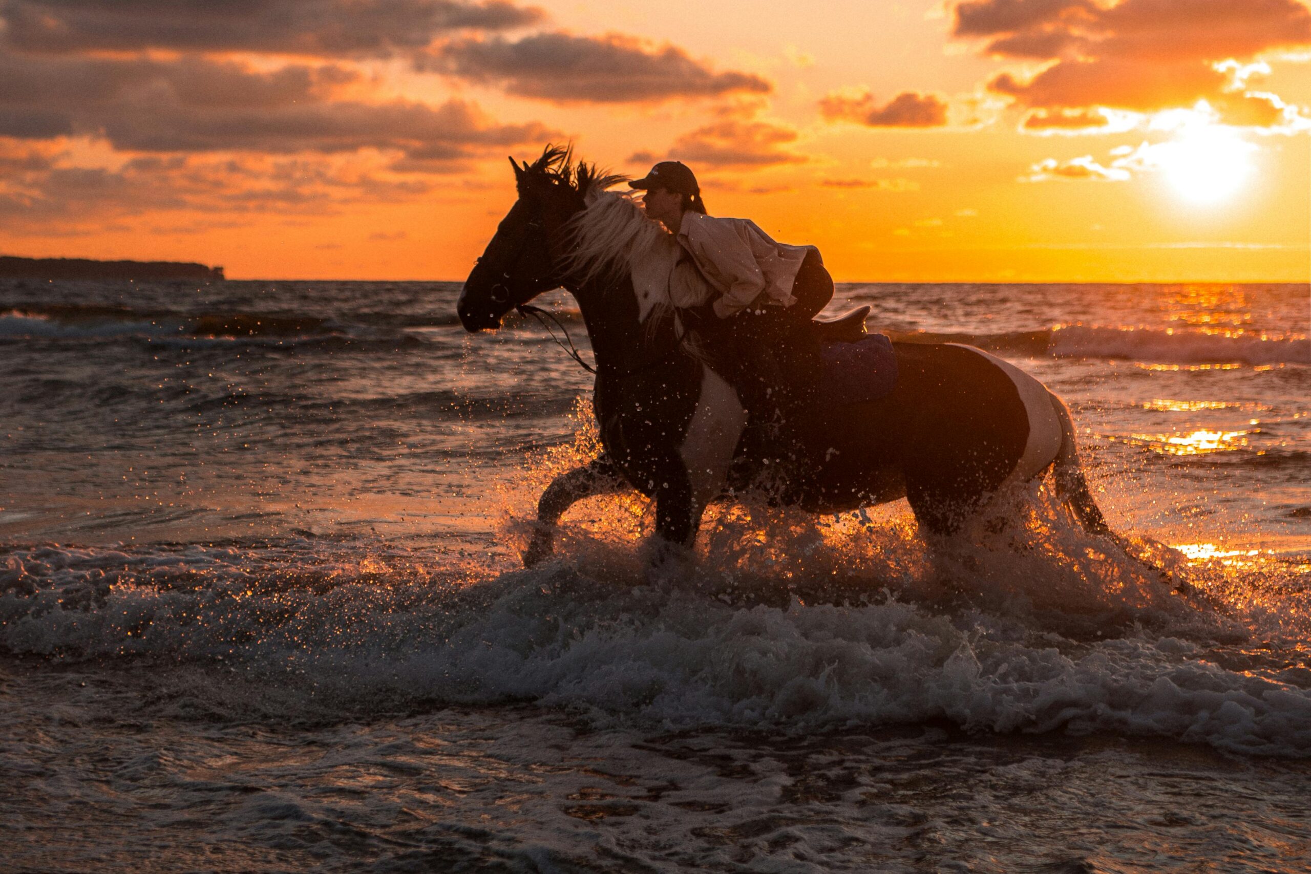 Horse riding with beach & Swimming