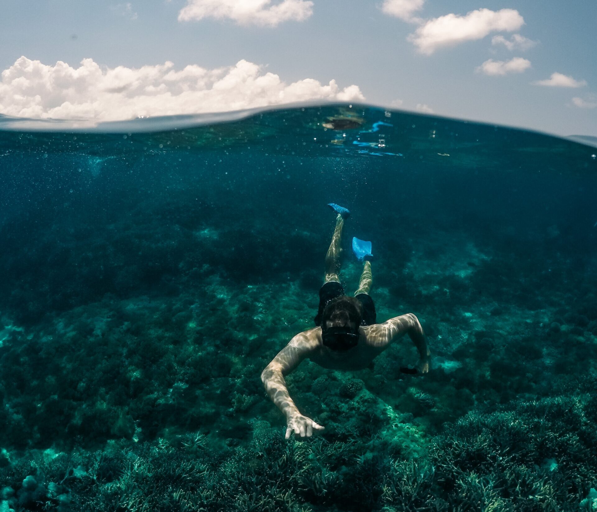 Abu Dabbab Turtle Beach group